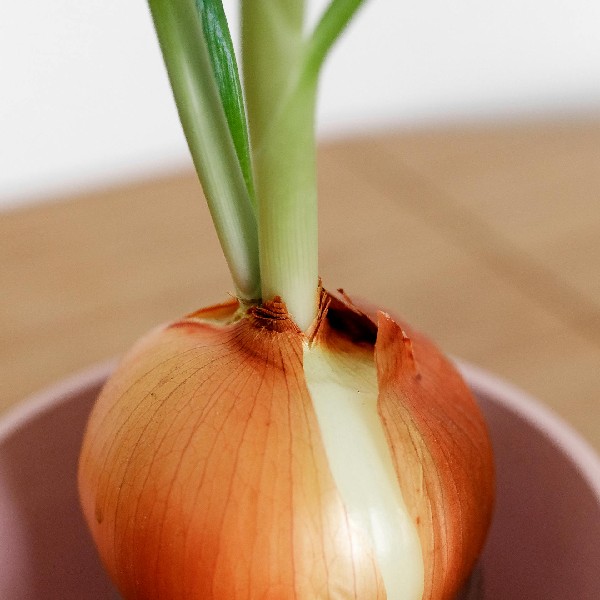 Onions