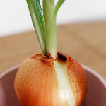 Unveiling the Health Benefits of Onions: A Nutritional Powerhouse