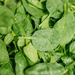 Spinach: The Leafy Green Powerhouse of Nutrition