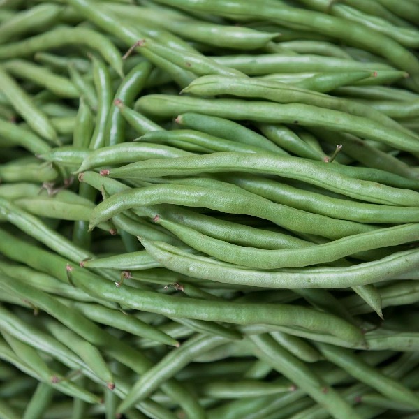 Green Beans: The Crisp and Flavorful Addition to Any Meal