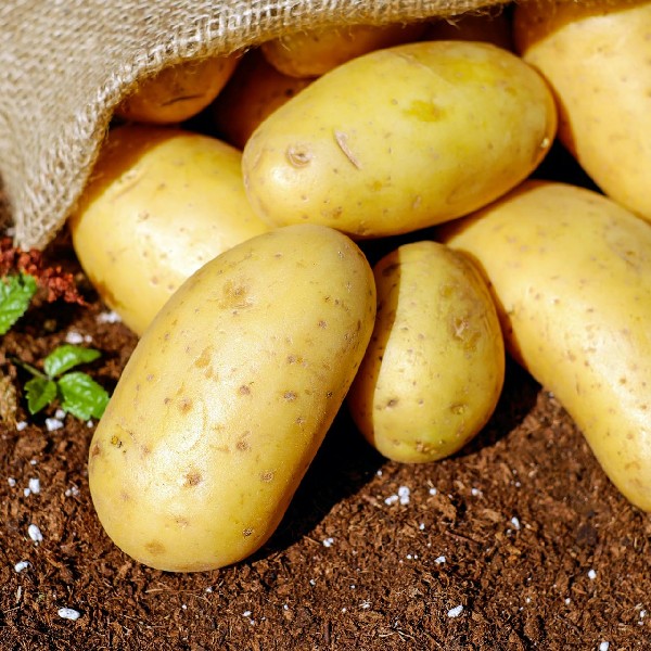 Unlocking the Nutritional Value of Potatoes: A Comprehensive Guide