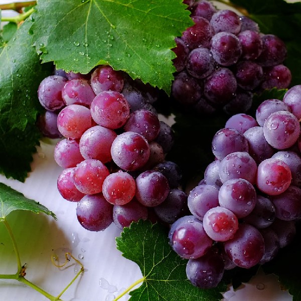 Grapes: Nature's Juicy Gems of Nutrition and Flavor