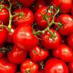 Unveiling the Versatile Gem: A Deep Dive into Tomatoes