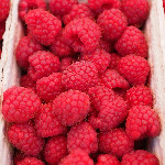 Raspberries: Nature's Juicy Jewels Brimming with Flavor and Nutrition